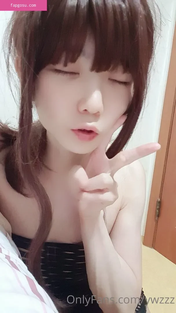 ywzzz