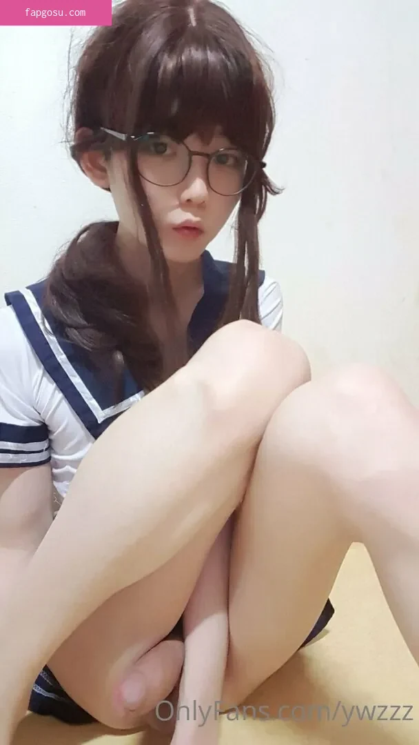 ywzzz