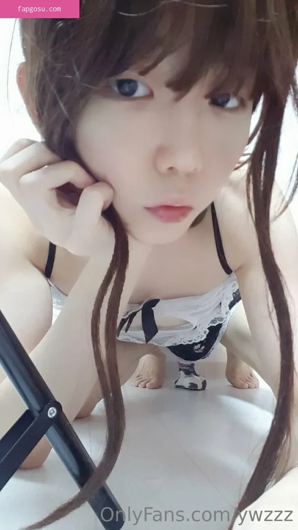 ywzzz