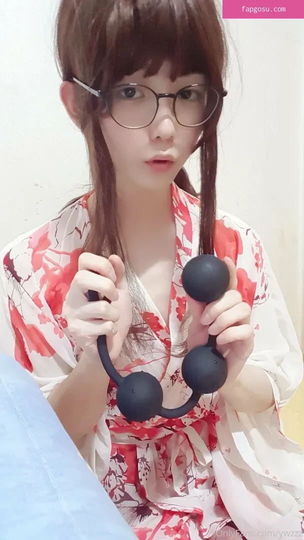 ywzzz