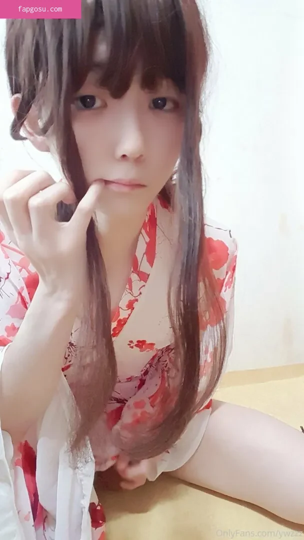 ywzzz