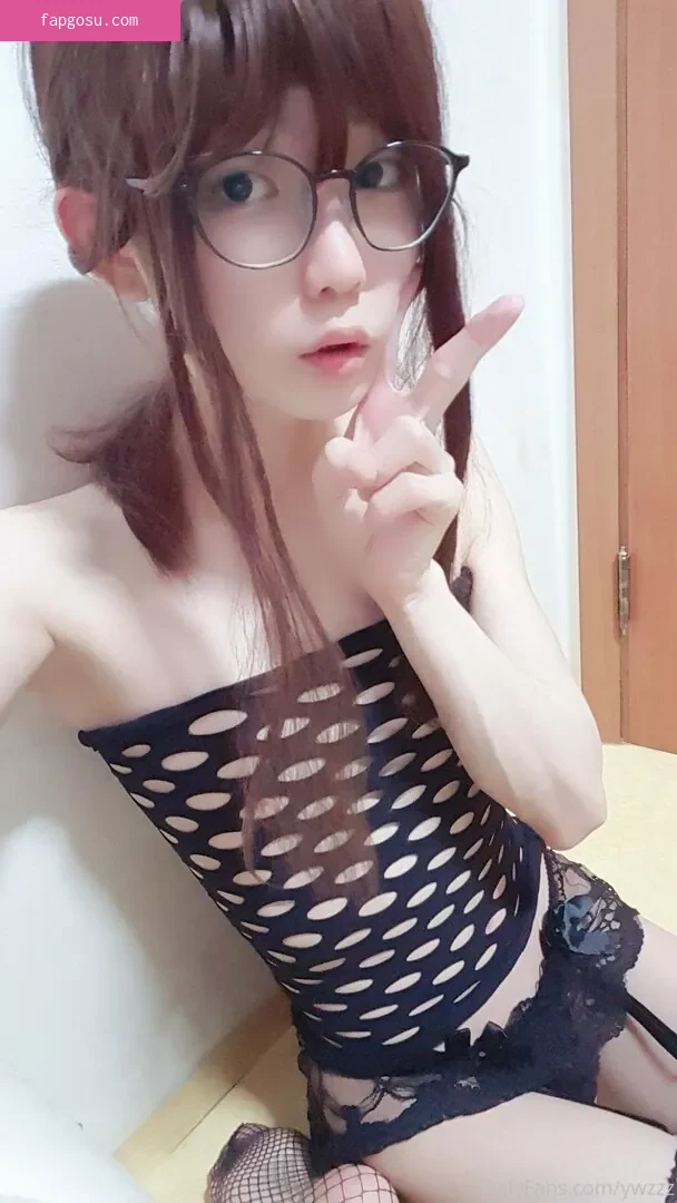 ywzzz