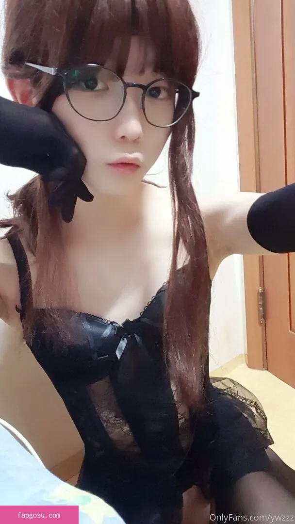 ywzzz