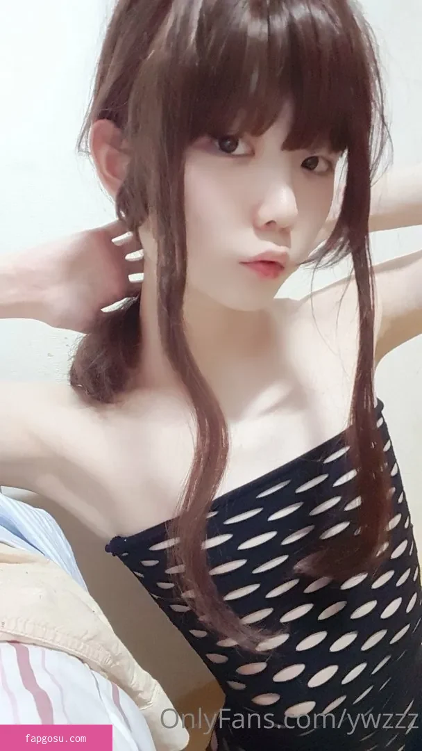 ywzzz
