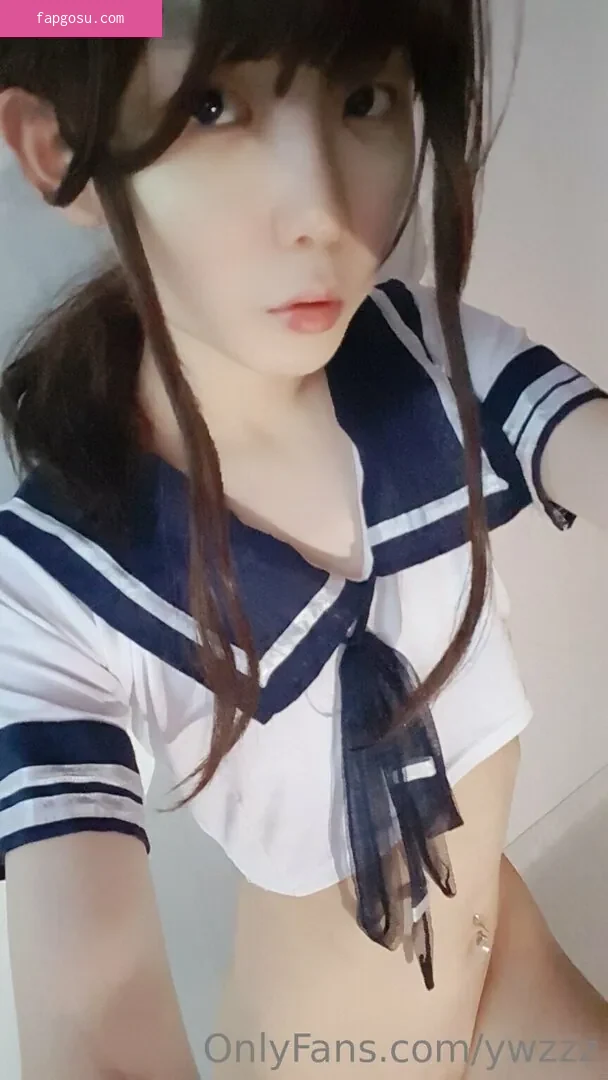 ywzzz