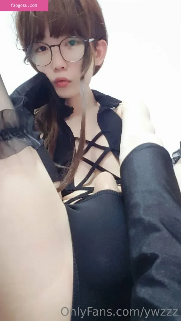 ywzzz