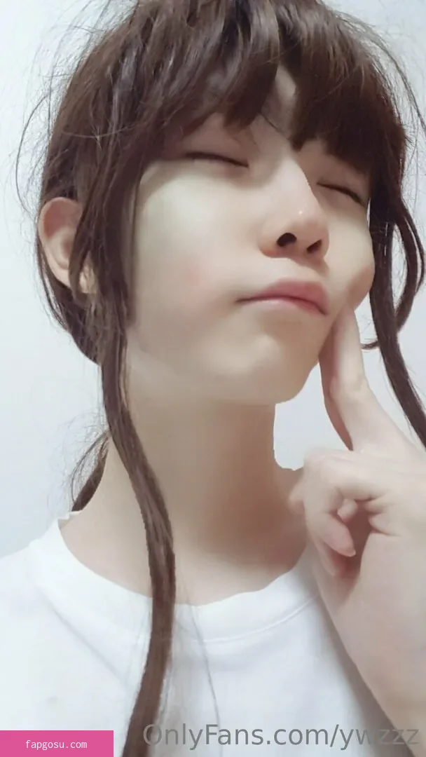 ywzzz