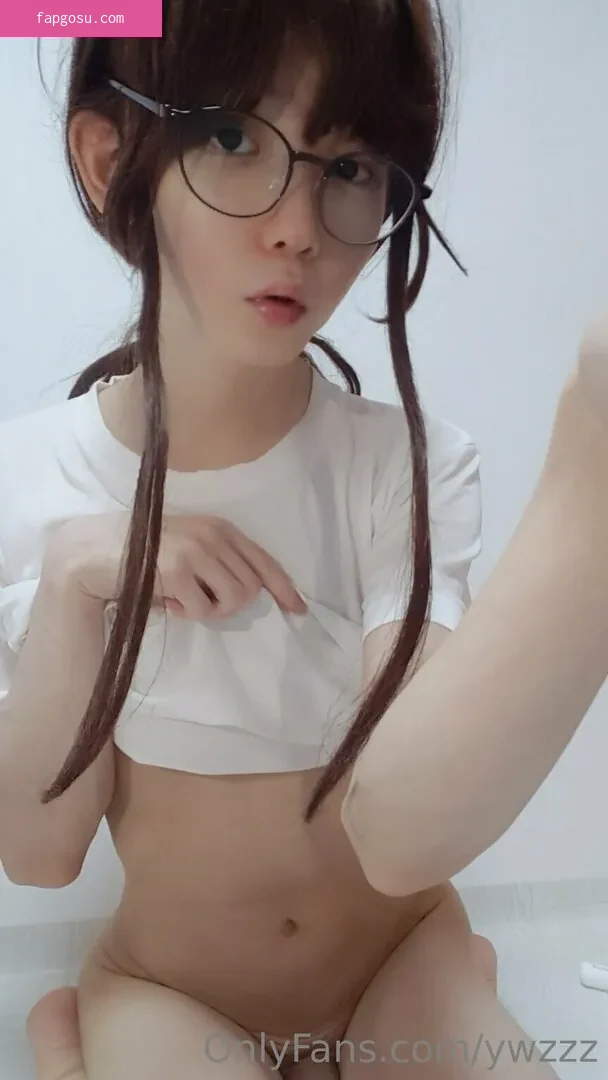 ywzzz