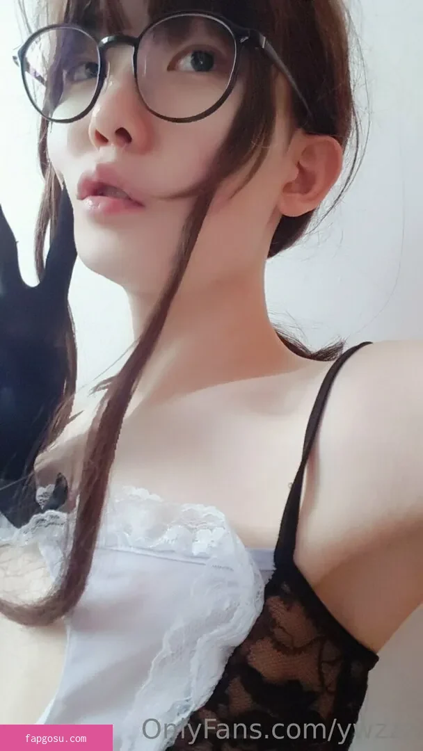 ywzzz