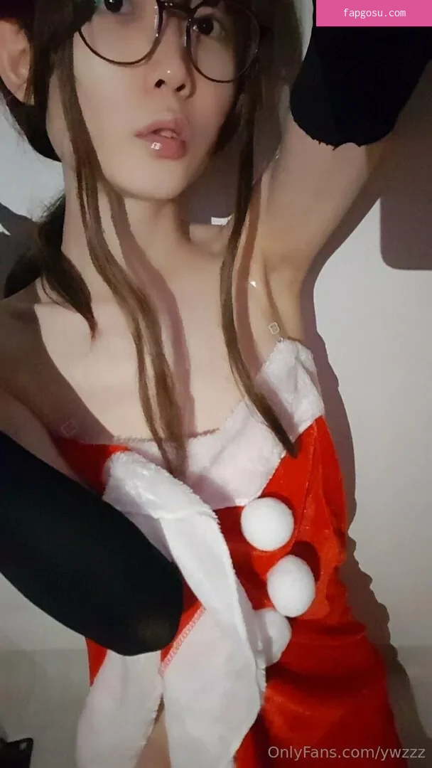 ywzzz