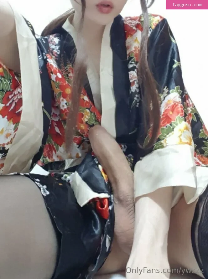 ywzzz
