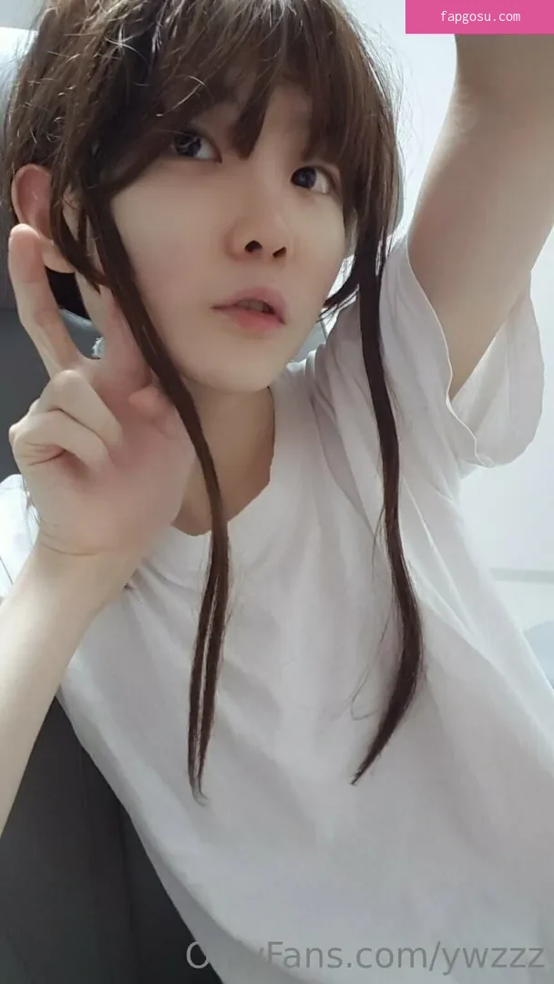 ywzzz