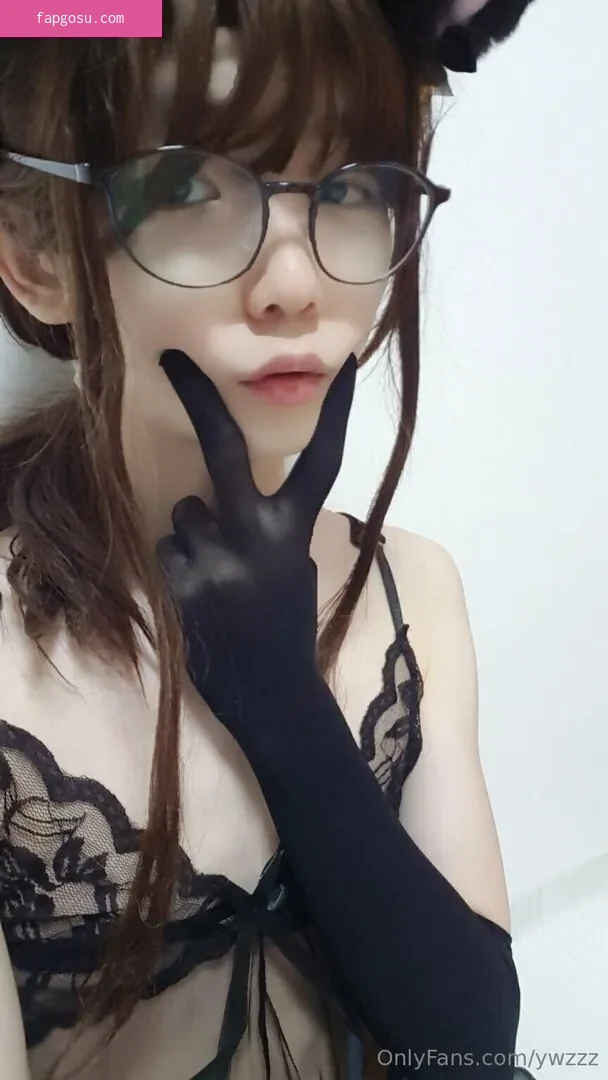 ywzzz
