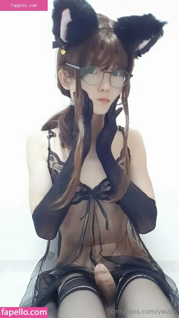 ywzzz