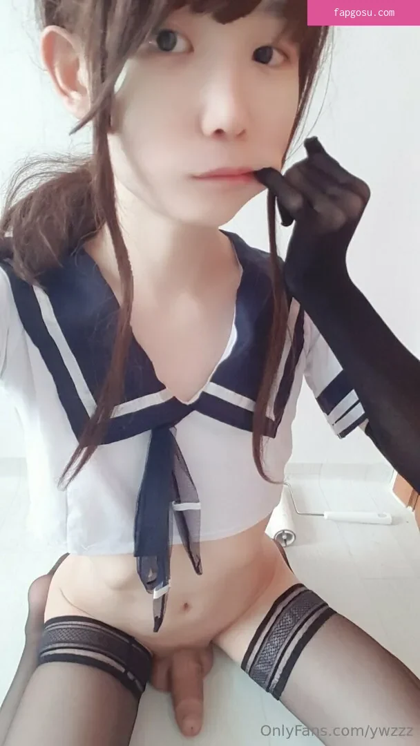 ywzzz