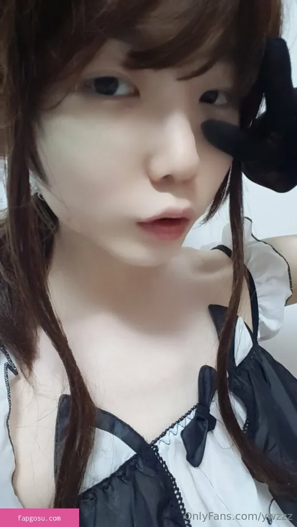 ywzzz