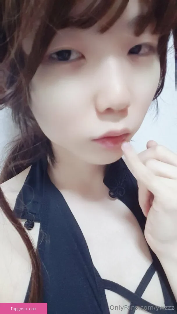 ywzzz