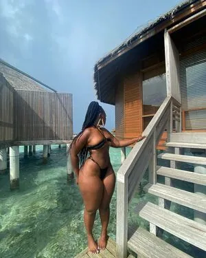 Zeebee_g content