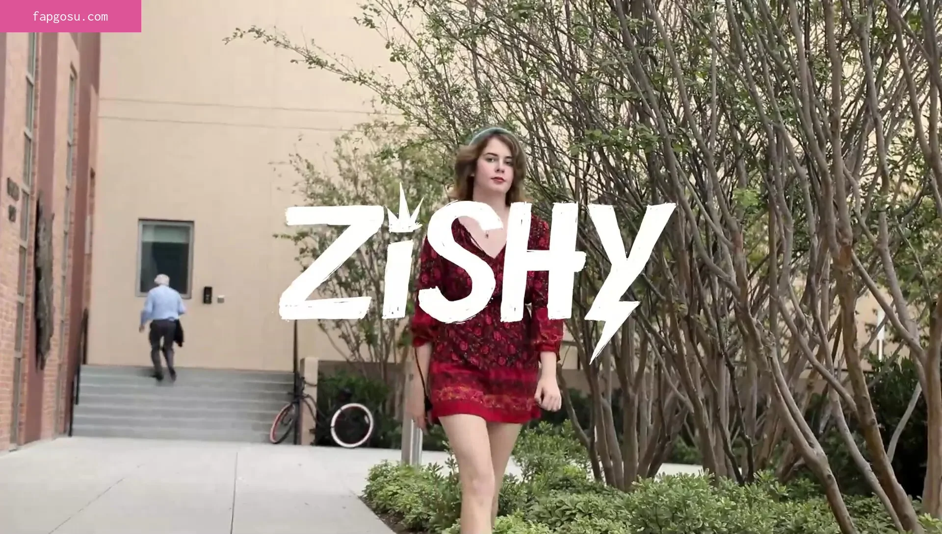 Zishy