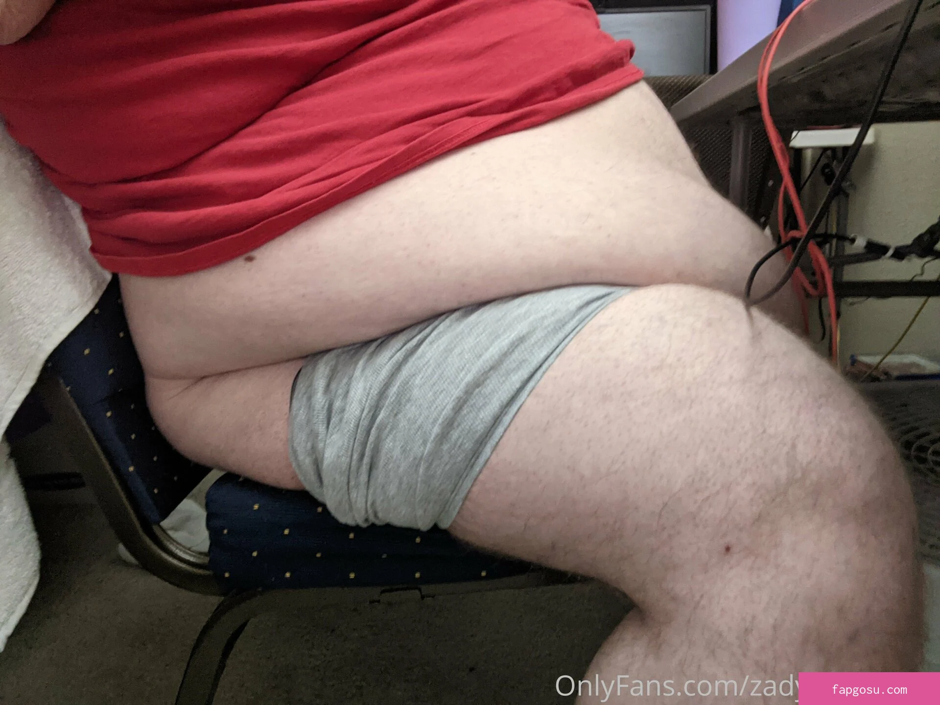 zadyas_toybox